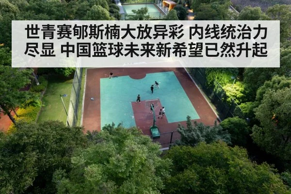 chinese basketball player